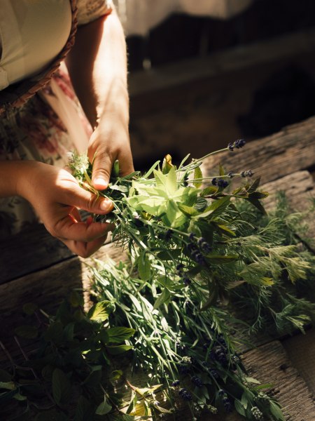 Kräuterküche nach Hildegard von Bingen, © Niederösterreich Werbung/Julius Hirtzberger Person hält frische Kräuter in den Händen auf einem Holztisch.