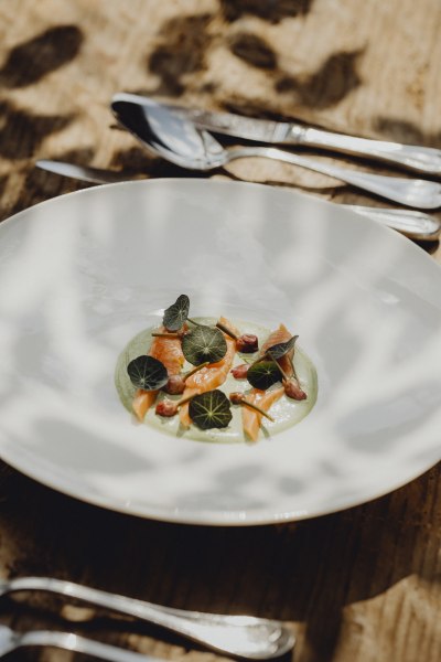 Lachsforelle, Kapuzinerkresse-Creme, Kapuzinerkresse, Schnittlauchknospen, © Niederösterreich Werbung/Sophie Menegaldo Ein Teller mit Lachsforelle, Kapuzinerkresse-Creme und Kapuzinerkresseblättern, dekoriert mit Schnittlauchknospen.