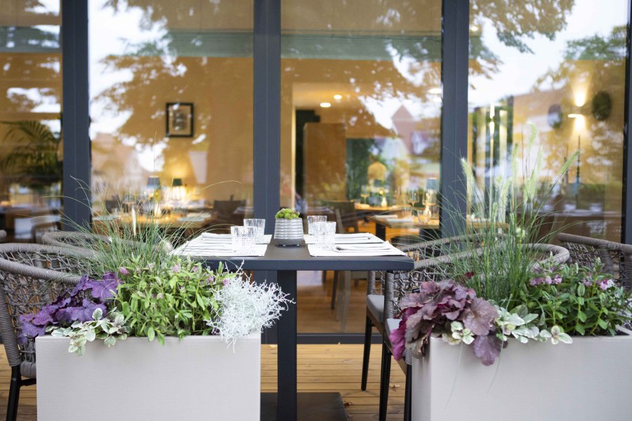 Blick in den Wintergarten, © Astrid Bartl Gedeckter Tisch auf Terrasse mit Pflanzen, Blick ins Restaurant.