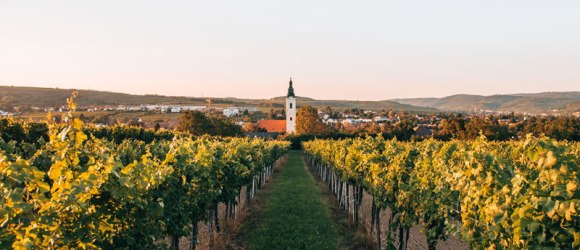 Langenlois, Kamptal, © Niederösterreich Werbung/Romeo Felsenreich