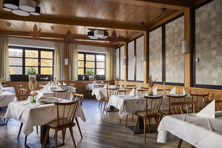 Helles, zeitloses Ambiente, © Niederösterreich Werbung/Andreas Hofer Ein elegantes Restaurant mit Holzmöbeln, weißen Tischdecken und großen Fenstern, die herbstliche Bäume zeigen.