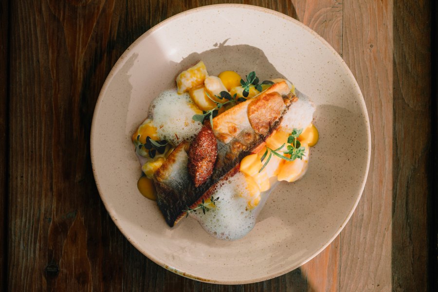 Saiblingsfilet, Erdäpfel-Safrannockerl, © Niederösterreich Werbung/Julius Hirtzberger Gourmetgericht mit Fischfilet, Schaum und Kräutern auf Keramikteller.