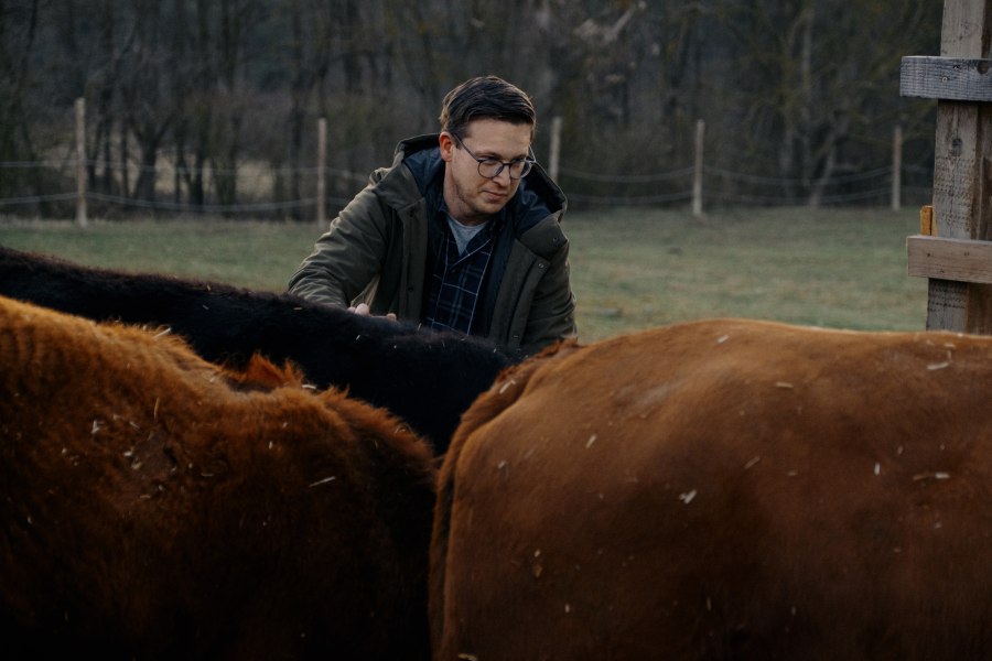 Markus Haag umsorgt Gäste und Rinder, © Niederösterreich Werbung/Julius Hirtzberger Ein Mann in einer grünen Jacke streichelt Rinder auf einer Weide.