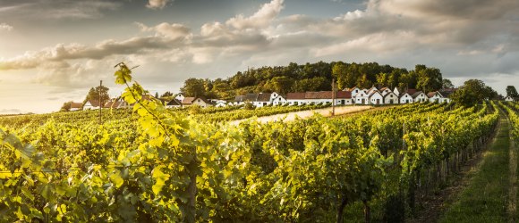 Kellergasse Wildendürnbach am Galgenberg, © Niederösterreich Werbung/Michael Liebert