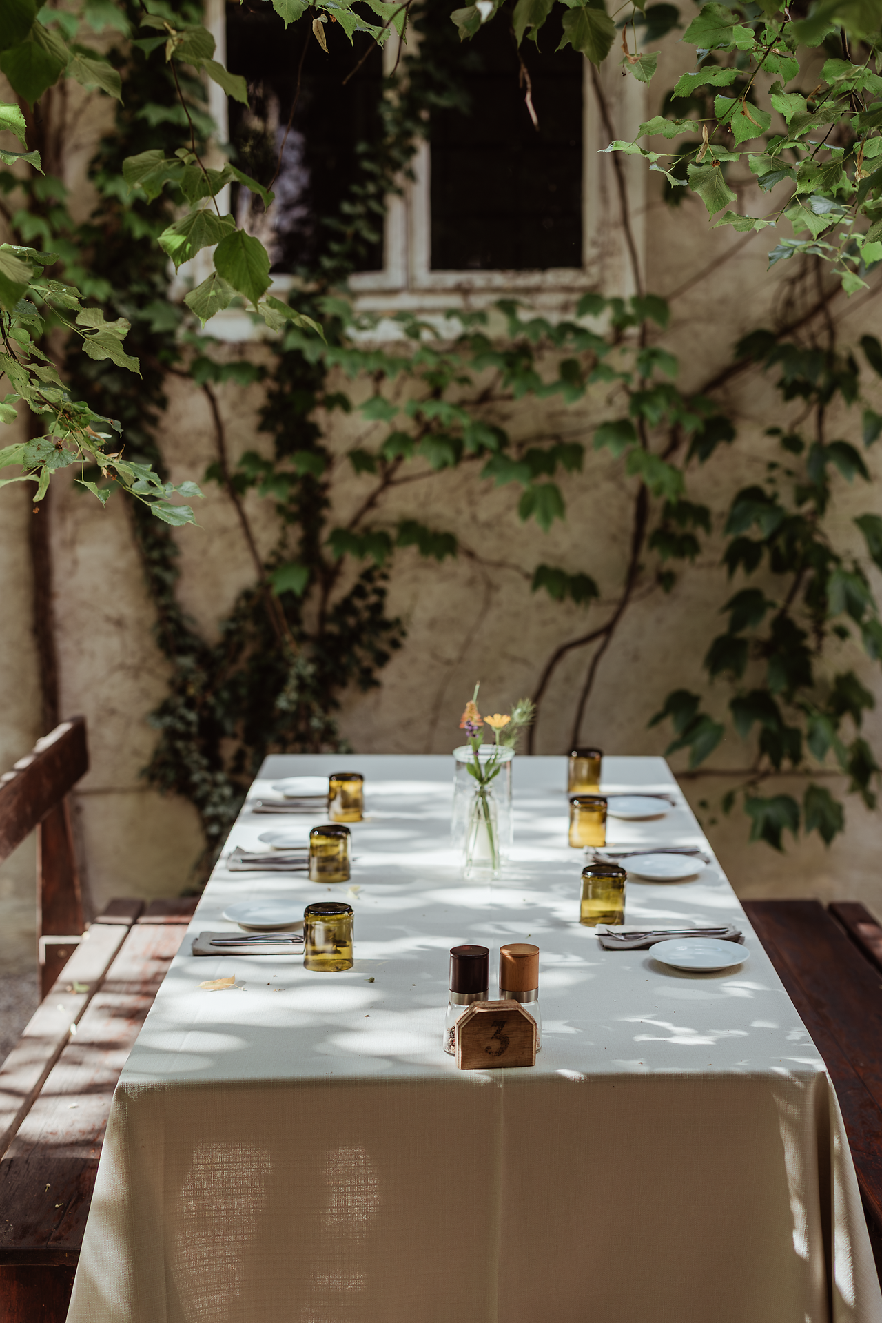 Gedeckter Tisch mit Tellern, Besteck, Gläsern und einer kleinen Blumenvase in einem begrünten Innenhof. Im Hintergrund sind eine mit Efeu bewachsene Wand und ein Fenster zu sehen.
