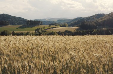 Feinkostladen Niederösterreich, © Flo Blang