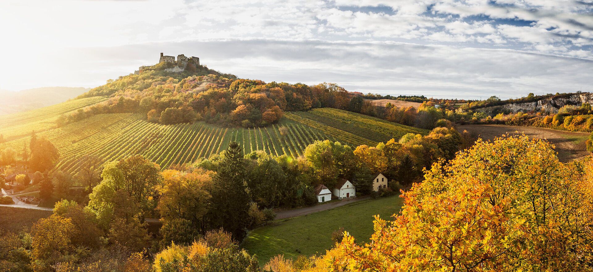 Die sanften Hügel, bedeckt mit bunten Weinreben, strahlen im warmen Licht der Abendsonne. Ein majestätisches Schloss thront über der malerischen Landschaft und lädt zu einem unvergesslichen Ausblick ein. Hier, wo die Natur und die Kultur harmonisch verschmelzen, erleben Besucher die Schönheit des Weinviertels.