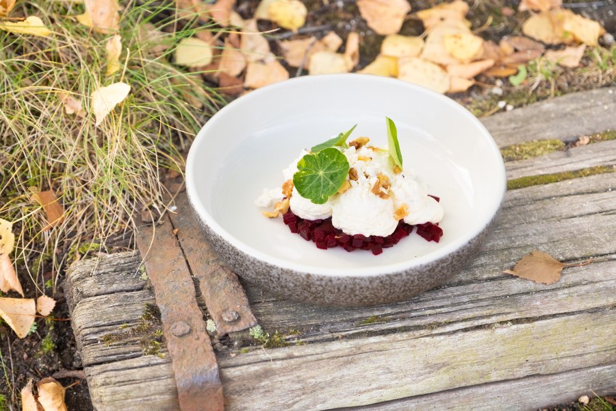 Ein Teller mit Krenmousse auf Roter Bete, garniert mit Waln&uuml;ssen und gr&uuml;nen Bl&auml;ttern, steht auf einem rustikalen Holztisch mit Herbstlaub.