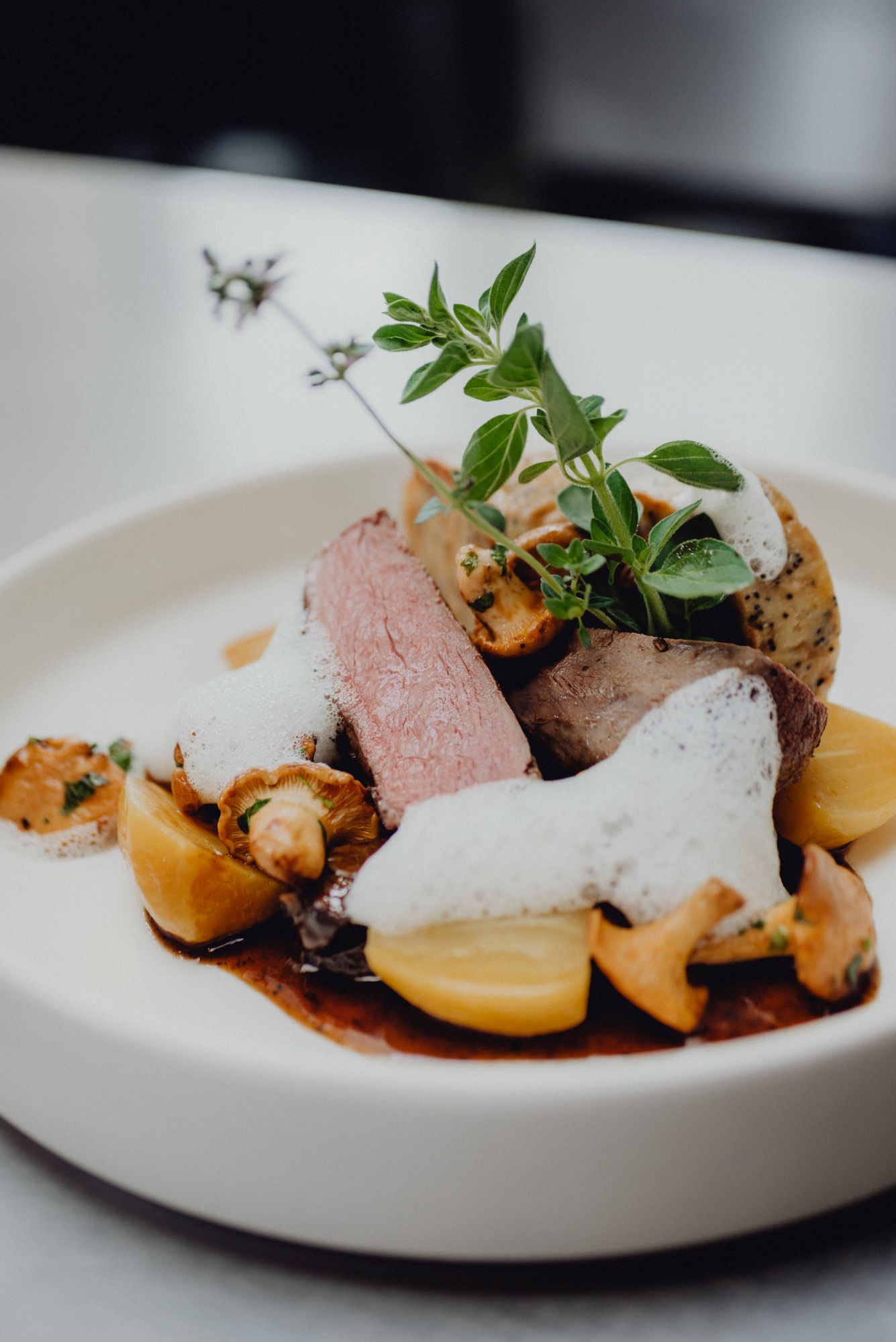 Gourmetgericht mit Rehfleisch, Serviettenknödel, Pilzen und Schaum auf einem weißen Teller.
