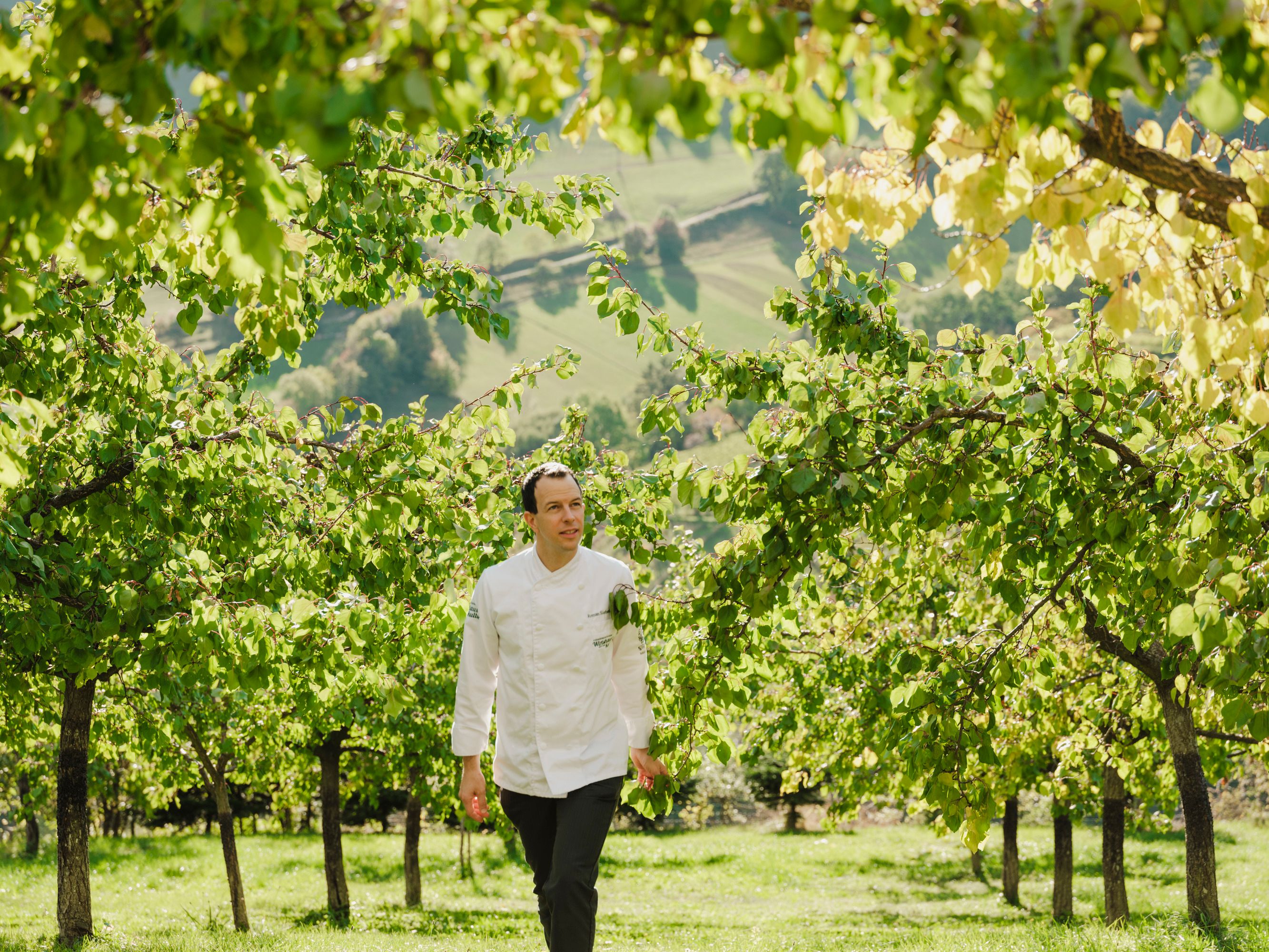 Roman Siebenhandl in weißer Kochjacke geht durch einen Obstgarten mit grünen Bäumen.