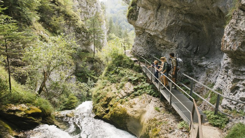 Wassermarsch im Naturpark, © Niederösterreich Werbung/Andreas Jakwerth