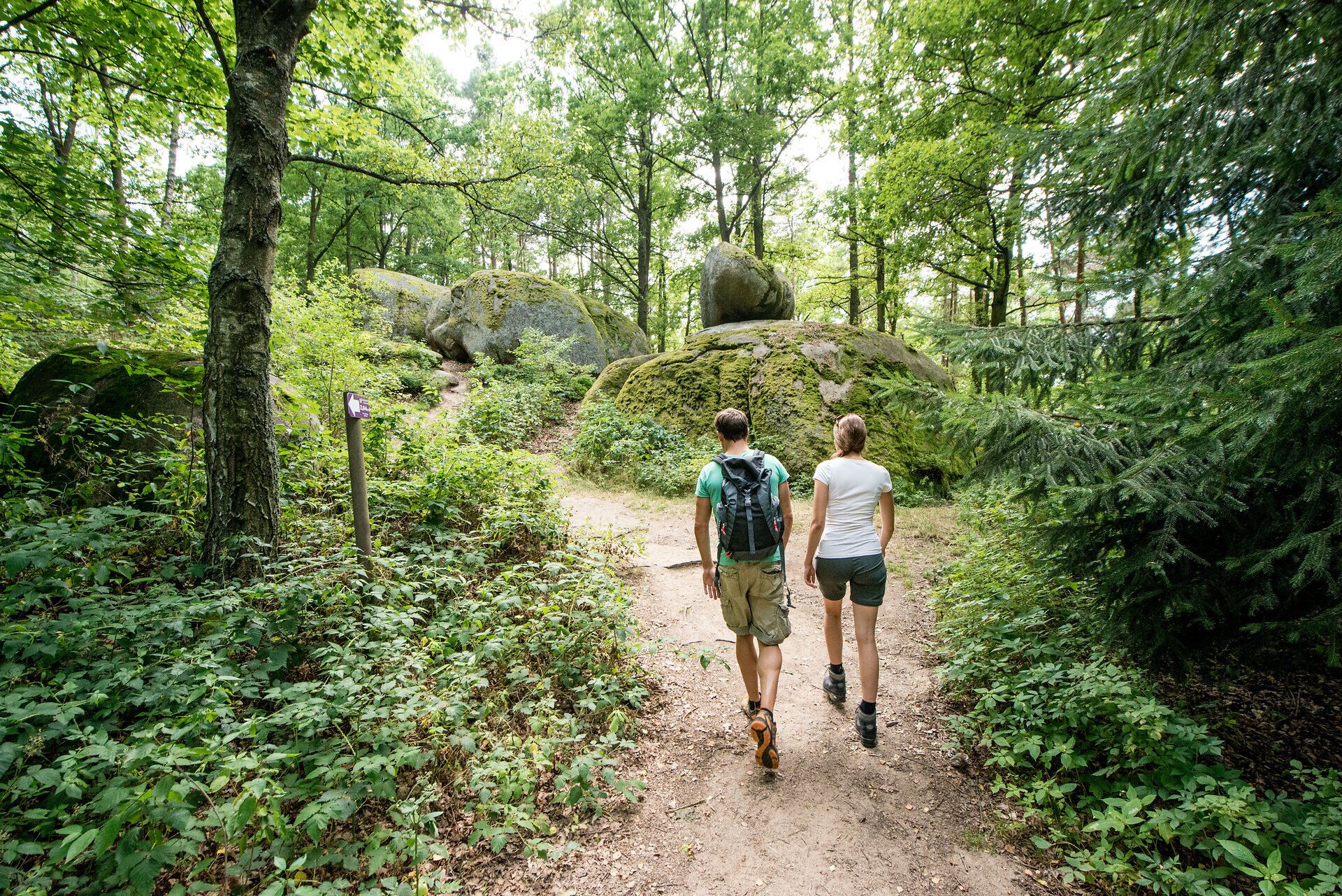 Ein malerischer Wanderweg schlängelt sich durch die üppige, grüne Landschaft der Blockheide. Die hohen Bäume spenden Schatten, während das sanfte Licht der Sonne durch das Blätterdach bricht und die Natur in ein warmes Licht taucht. Hier, umgeben von beeindruckenden Felsen und der Ruhe des Waldes, wird jeder Schritt zu einem Erlebnis der Erholung und des Staunens.