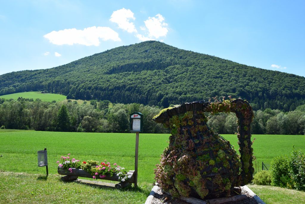 Grüne Landschaft mit einem bewaldeten Hügel im Hintergrund und einer bepflanzten Skulptur im Vordergrund.
