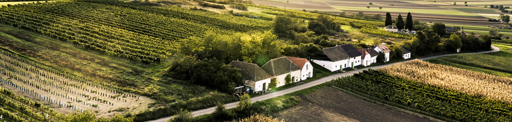 Kellergasse Wartberg, © Niederösterreich-Werbung/Robert Herbst