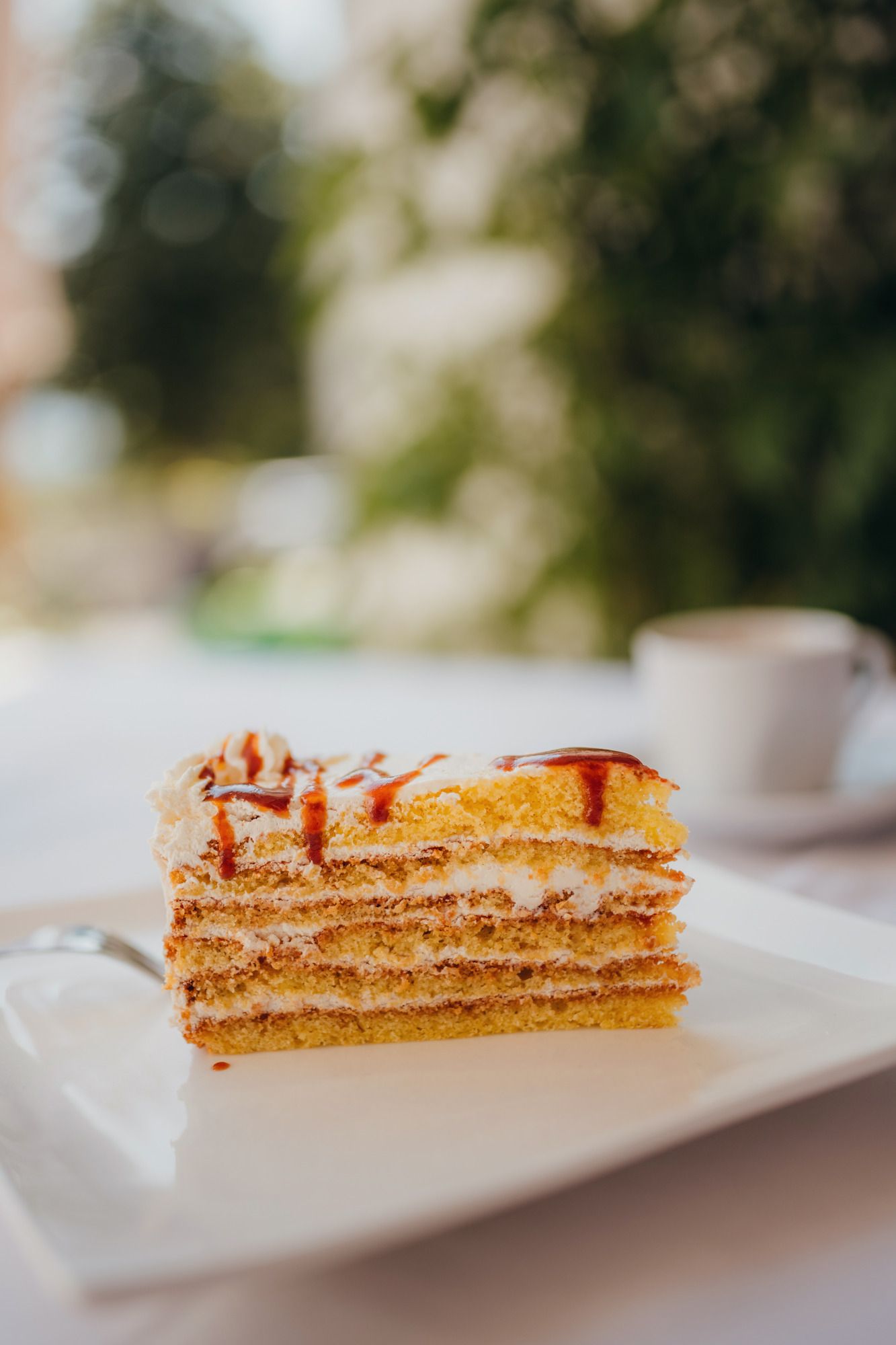 Dunkelsteiner Hagebutten Torte