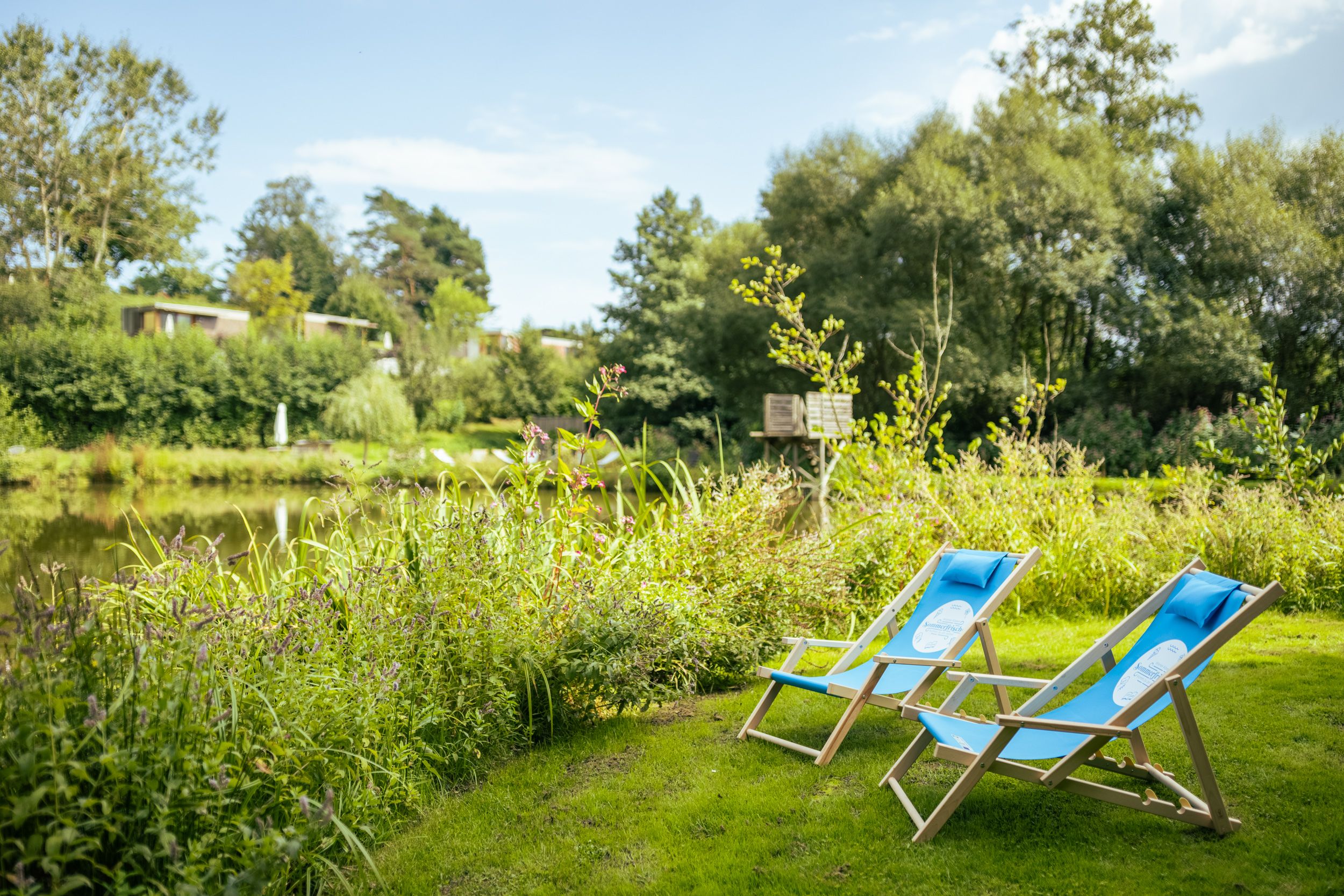 Zwei blaue Liegestühle auf einer Wiese am Ufer eines Teiches, umgeben von grüner Vegetation.