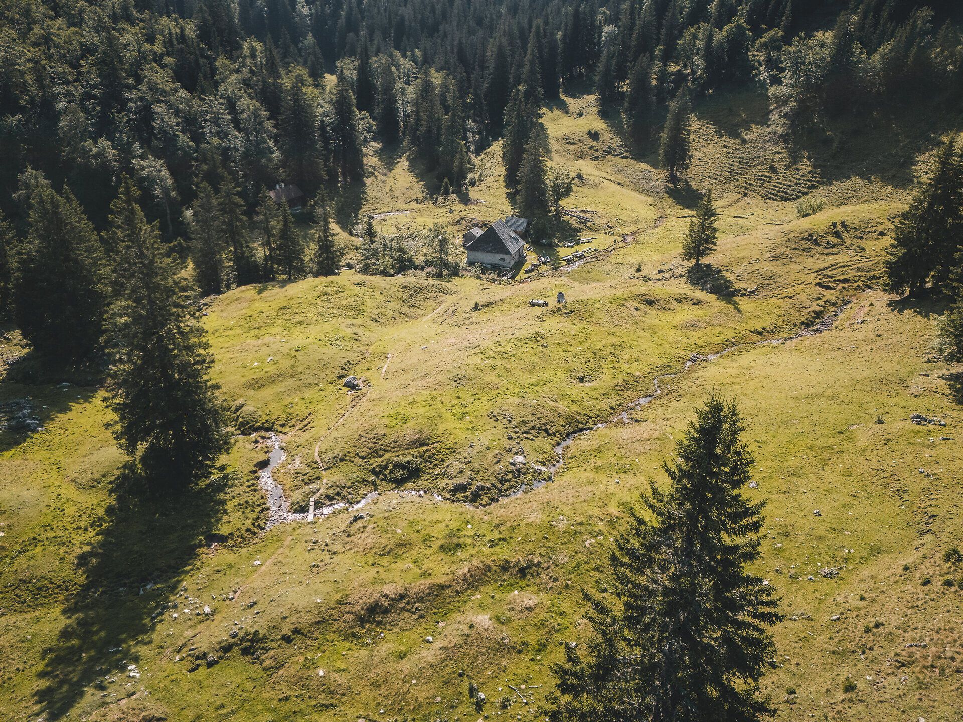 Grüne Almlandschaft mit Bachlauf nahe der Herrenalm in den Ybbstaler Alpen. 