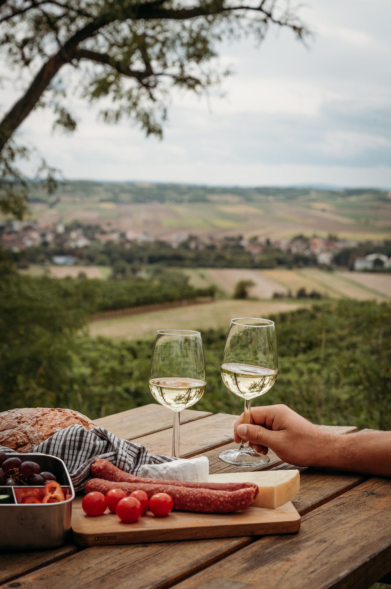 Auf einem Holztisch mit Blick auf die sanft-hügelige Weinviertler Landschaft ist eine Jause mit Hartwurst, Käse, Brot und Gemüse angerichtet. Eine Hand greift nach einem der beiden eingeschenkten Weißweingläser.