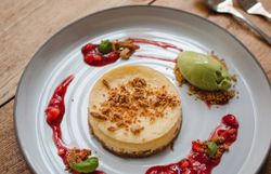 Ein köstlicher Cheesecake, kunstvoll angerichtet und umgeben von fruchtiger Sauce, lädt zum Genießen ein. Dazu ein erfrischendes Sorbet, das die Sinne belebt und die süßen Aromen perfekt ergänzt. Diese Delikatesse verspricht einen unvergesslichen Moment in der Wirtshauskultur Niederösterreich.