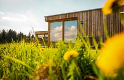 Umgeben von saftigem Grün und leuchtenden Löwenzahnblüten strahlt die moderne Holzarchitektur des BÄRENHOFs eine einladende Wärme aus. Die großen Fenster bieten einen atemberaubenden Blick auf die malerische Landschaft, die zum Verweilen und Entspannen einlädt.