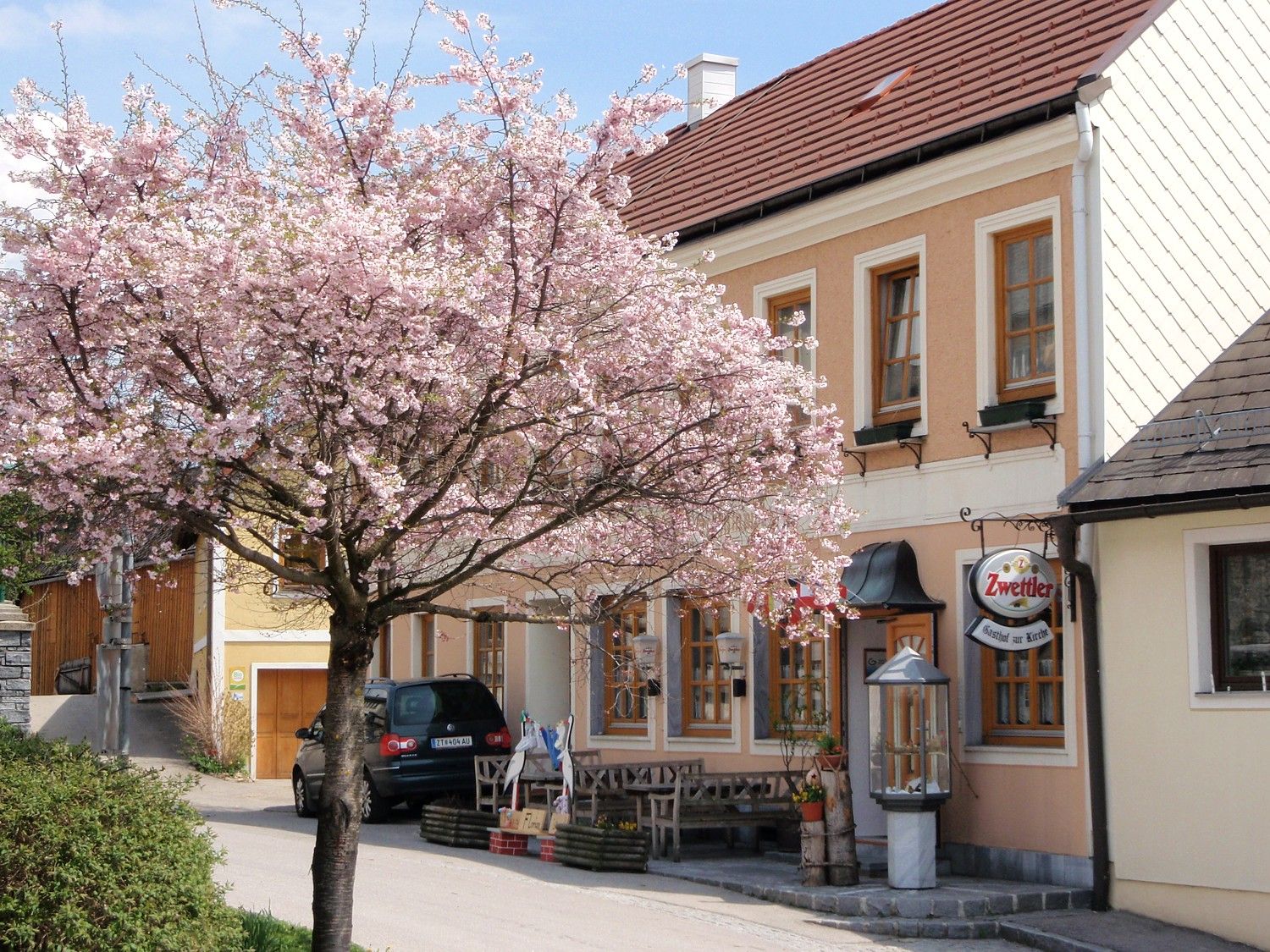 Ein blühender Baum vor einem Gasthof mit Zwettler-Schild.