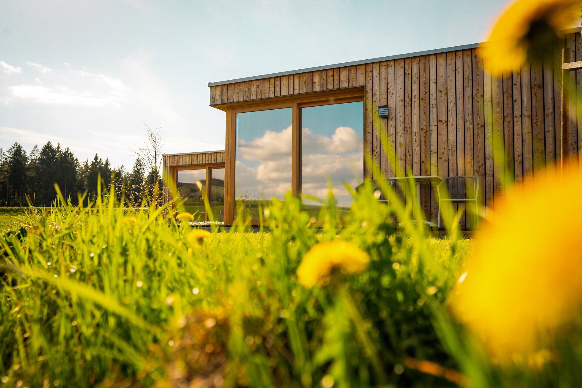 Umgeben von saftigem Grün und leuchtenden Löwenzahnblüten strahlt die moderne Holzarchitektur des BÄRENHOFs eine einladende Wärme aus. Die großen Fenster bieten einen atemberaubenden Blick auf die malerische Landschaft, die zum Verweilen und Entspannen einlädt.