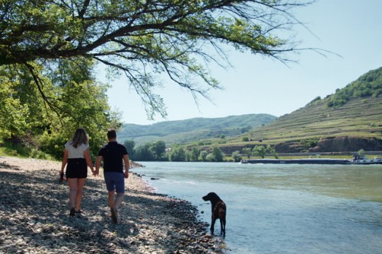 die Donaustrände eignen sich perfekt zum Picknicken unter freiem Himmel. , © David Moser/OBSCURA