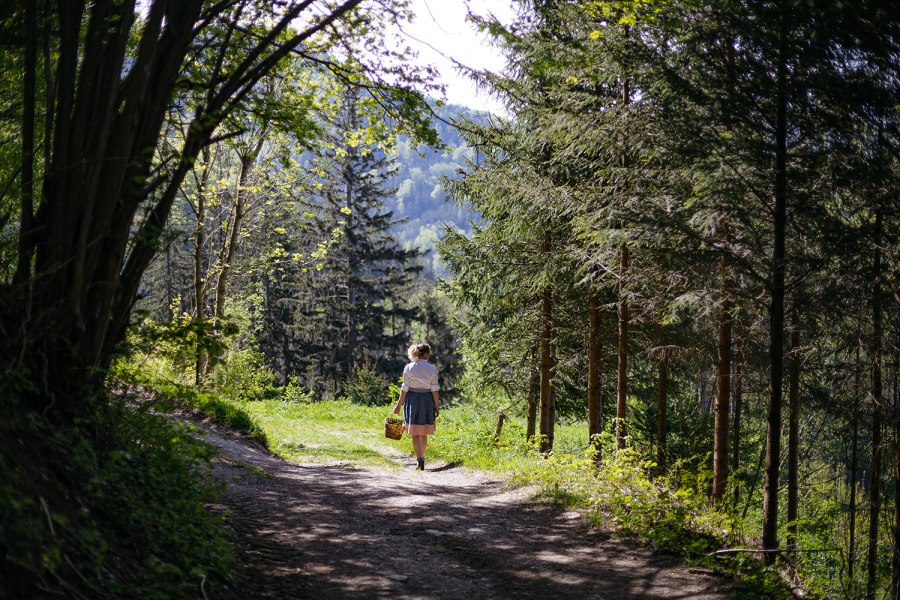 Eine Frau mit einem Korb geht auf einem Waldweg spazieren, umgeben von Bäumen und Sonnenlicht.