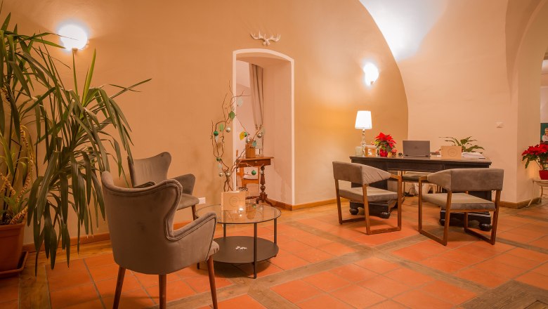 Gem&uuml;tlicher Eingangsbereich mit Sesseln, Tisch und Pflanzen.