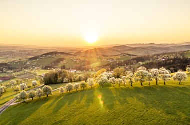 Moststraße, Mostviertel, © Niederösterreich Werbung/Robert Herbst