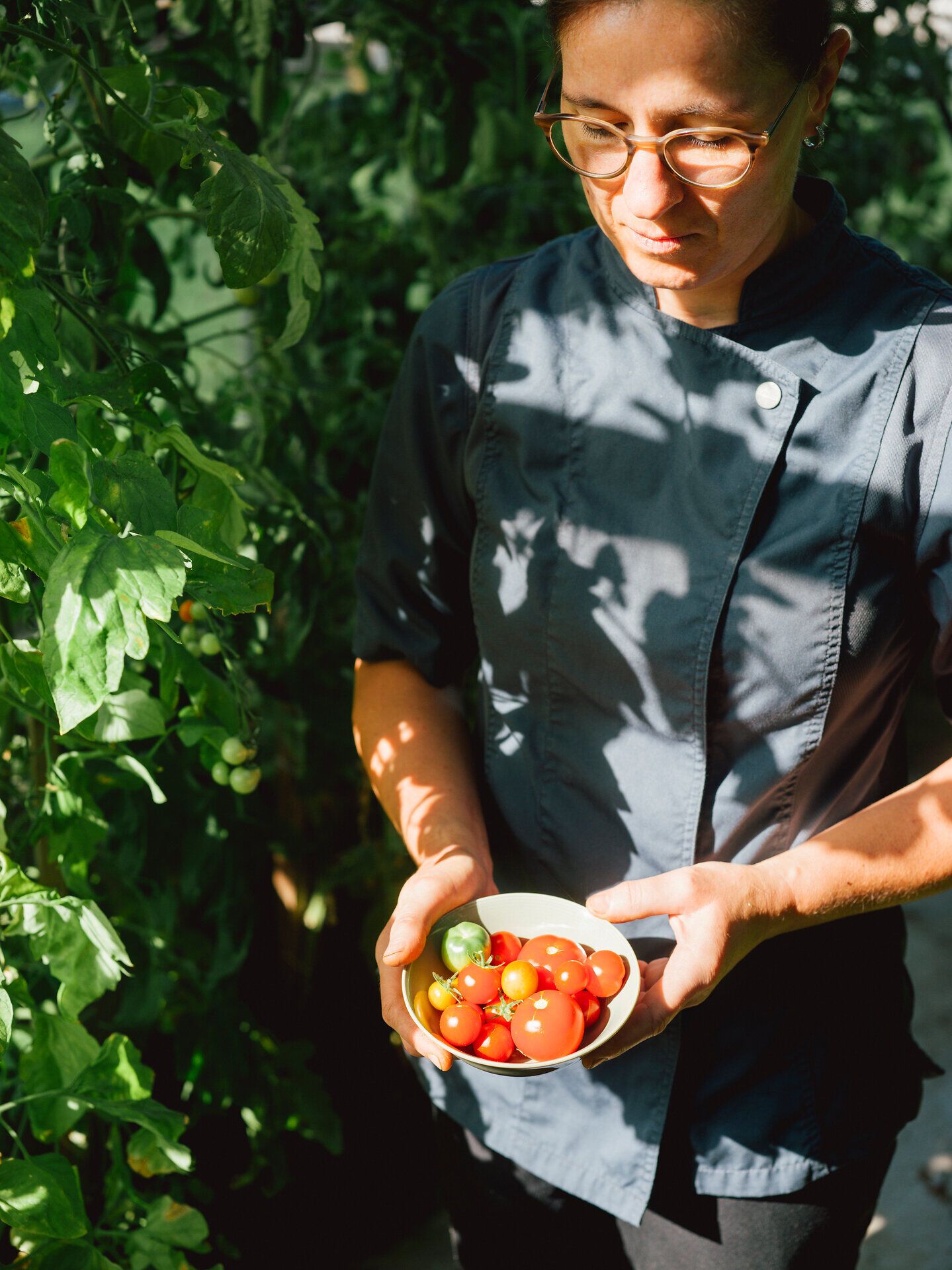 Inmitten üppiger Pflanzen gedeihen saftige Paradeiser, die in der warmen Sonne leuchten. Die Atmosphäre ist geprägt von der Ruhe der Natur und dem Duft frischer Kräuter, die den Sommer im Mostviertel unvergesslich machen.