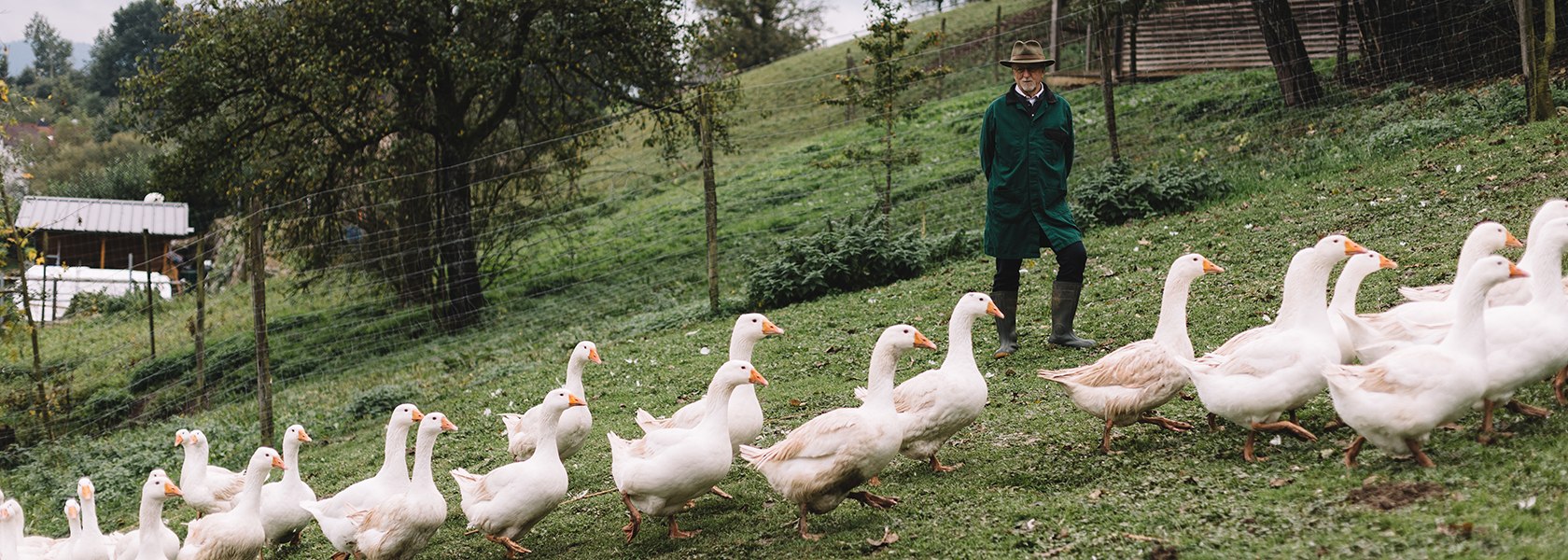 Gans und Hans im Glück, © Niederösterreich Werbung/Mara Hohla