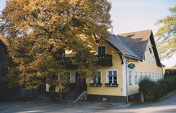 Umgeben von leuchtenden Herbstfarben strahlt das Wirtshaus im Demutsgraben eine einladende Gemütlichkeit aus. Die große, majestätische Kastanie vor dem Haus bietet einen perfekten Platz, um die frische Luft und die Ruhe der Umgebung zu genießen. Hier erleben Besucher die herzliche Wirtshauskultur Niederösterreichs in einer malerischen Kulisse.