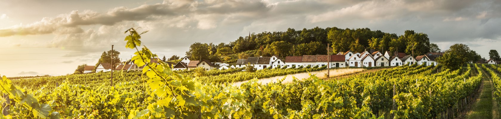 Kellergasse Wildendürnbach am Galgenberg, © Niederösterreich Werbung/Michael Liebert