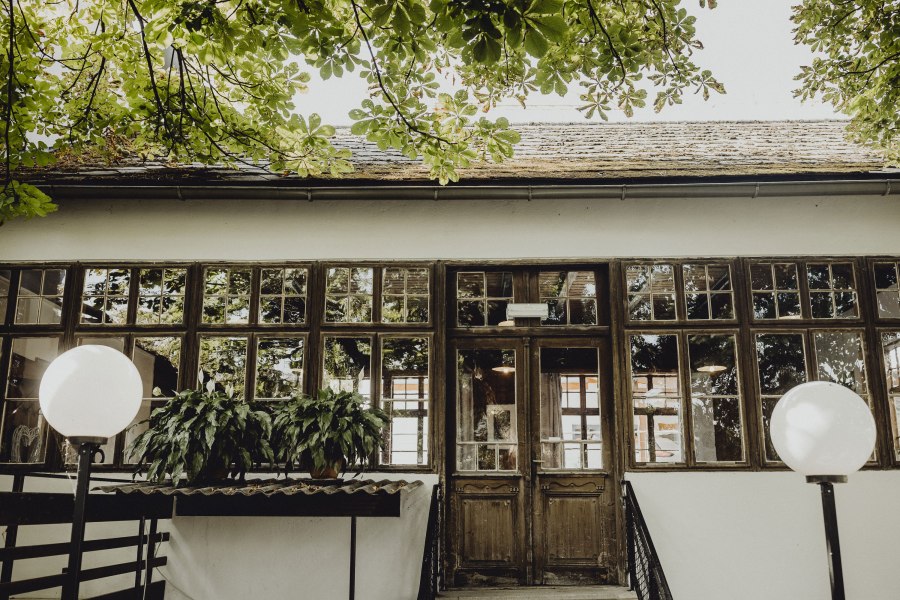 Eingang zu einem Geb&auml;ude mit gro&szlig;en Fenstern und Pflanzen, umgeben von B&auml;umen.