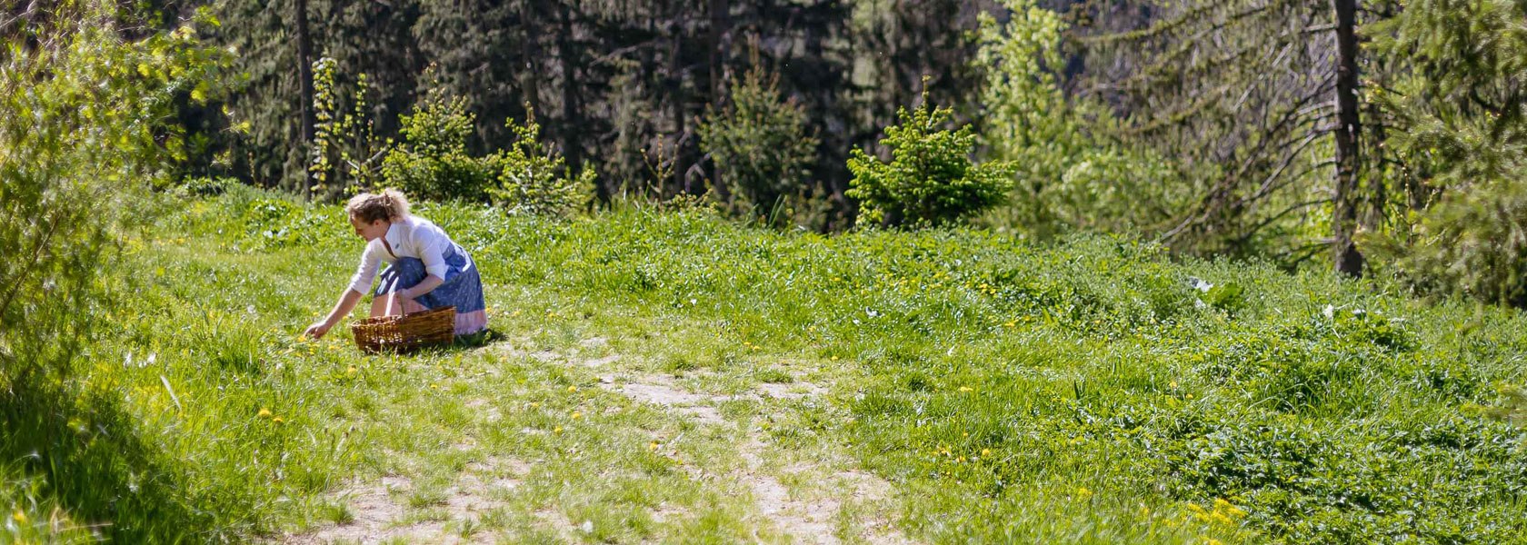 Wildkräuter sammeln, © Niederösterreich Werbung/Mara Hohla