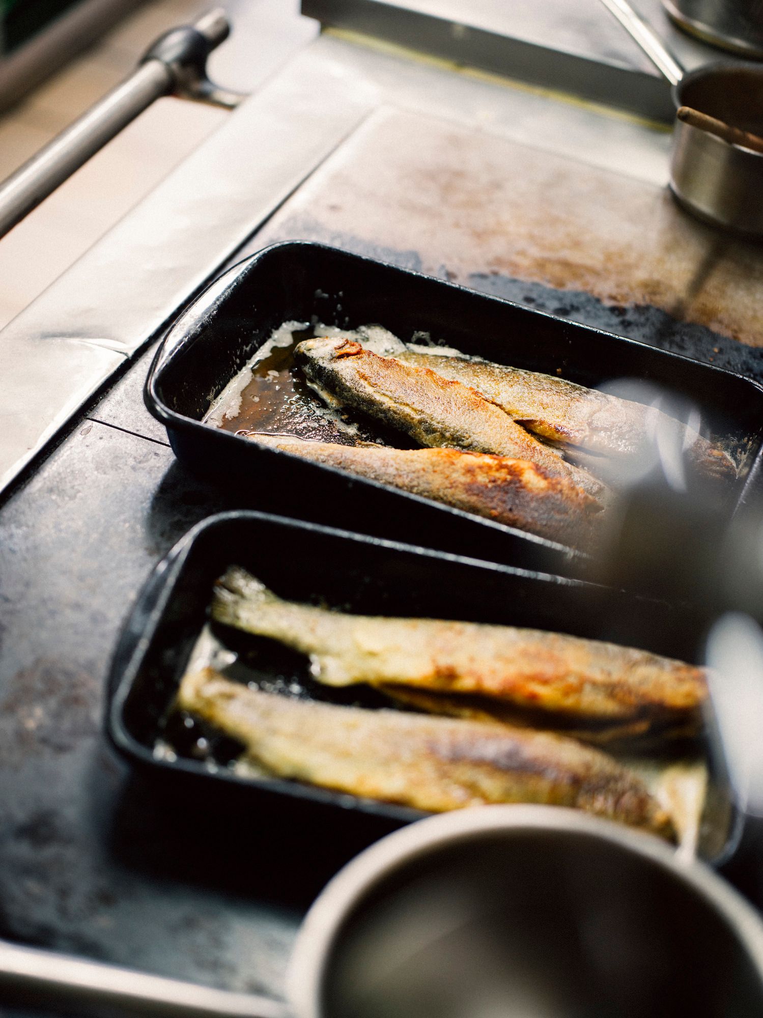 Zwei gebratene Forellen in einer schwarzen Backform auf einem Herd.
