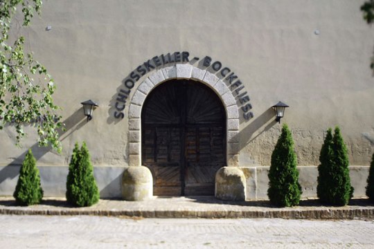 im Schlosskeller Bockfließ. , © David Moser/OBSCURA