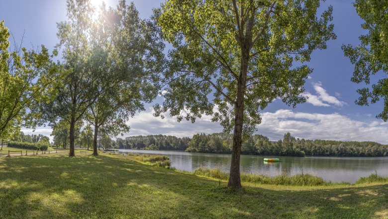 Panoramablick auf einen See mit Bäumen und einer Bank im Vordergrund, sonniger Himmel.