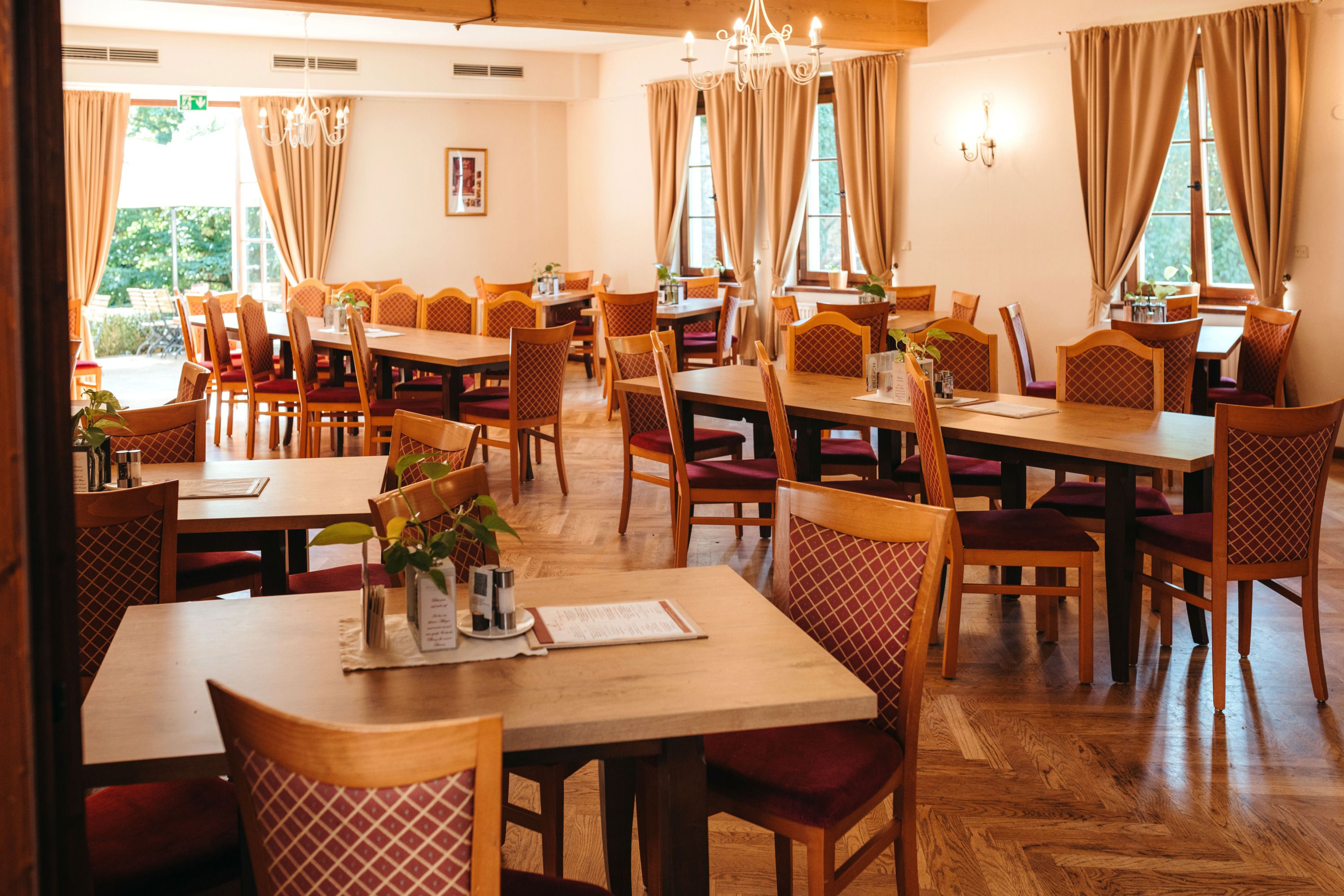 Ein gemütlich eingerichtetes Restaurant mit Holztischen und gepolsterten Stühlen, dekoriert mit Pflanzen und Menükarten.