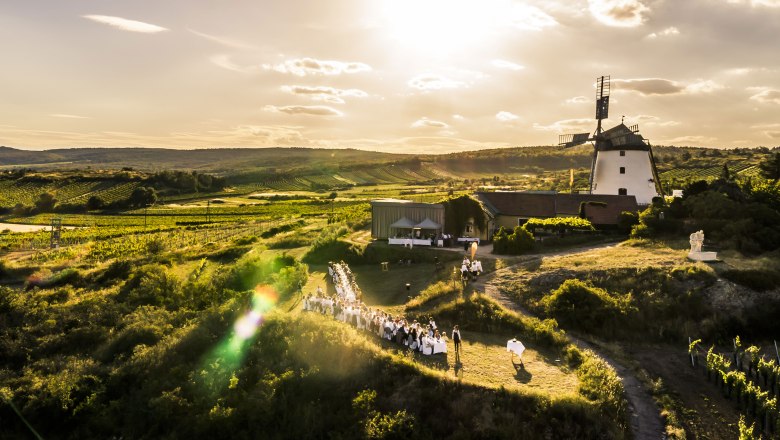 Tafeln bei der Windmühle in Retz, © Weinviertel Tourismus/www.pov.at