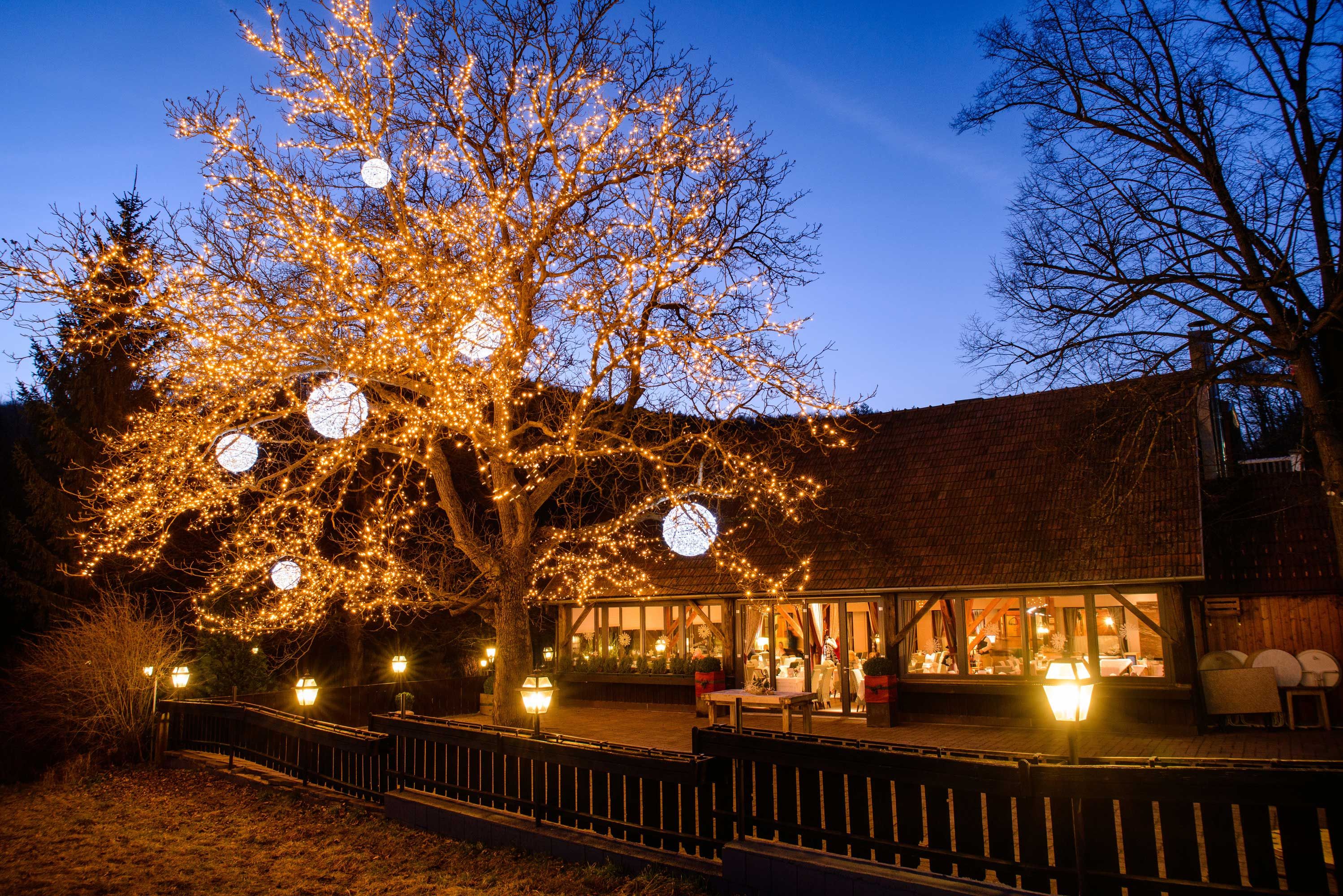 Ein beleuchteter Baum vor einem Gebäude in der Dämmerung.