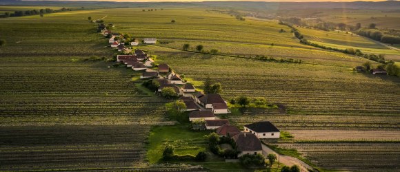 Weinviertler Kellergassen, © Weinviertel Tourismus/Rober Herbst