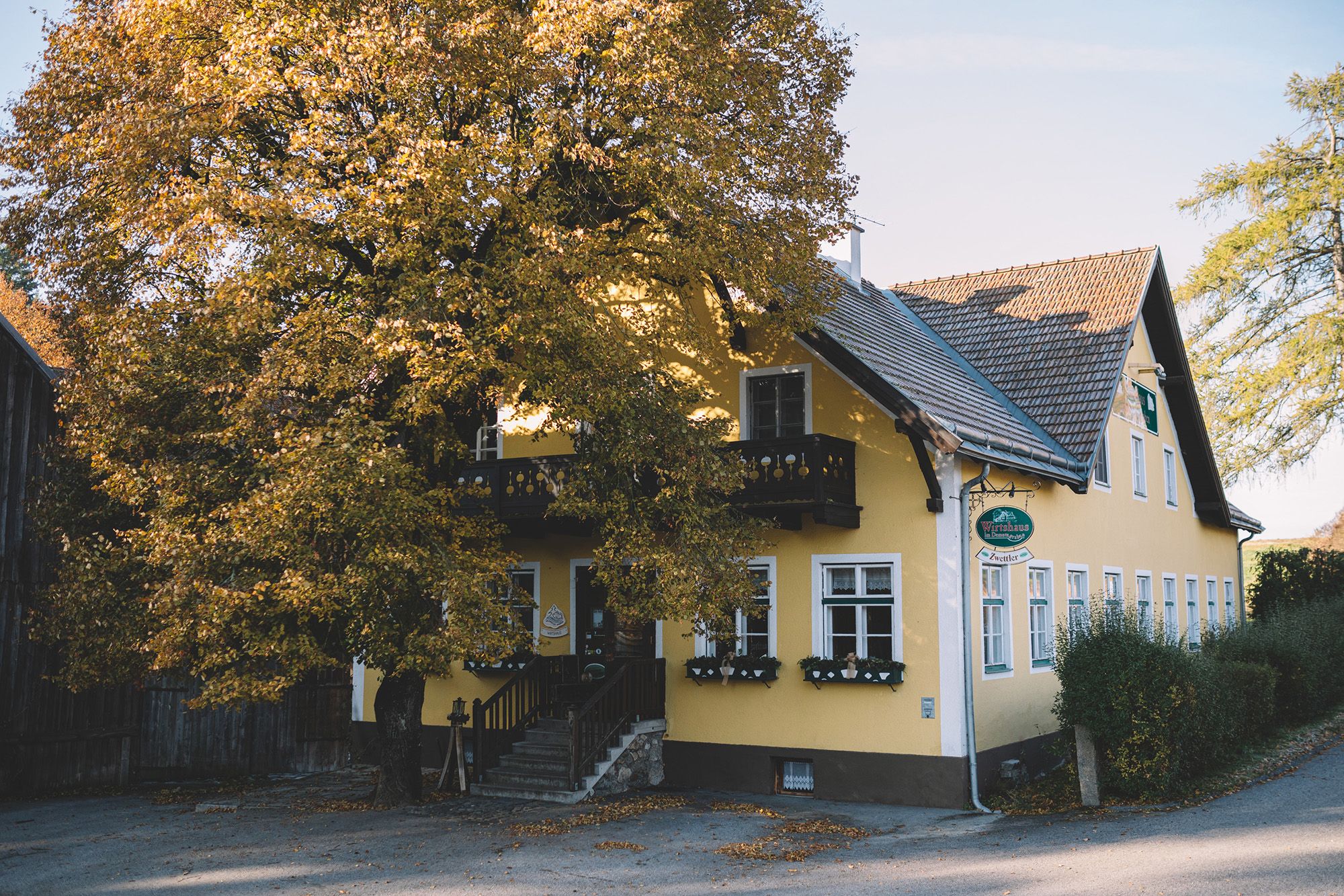 Gelbes Wirtshaus mit großem Baum davor, Herbstlaub, am Stadtrand von Zwettl.