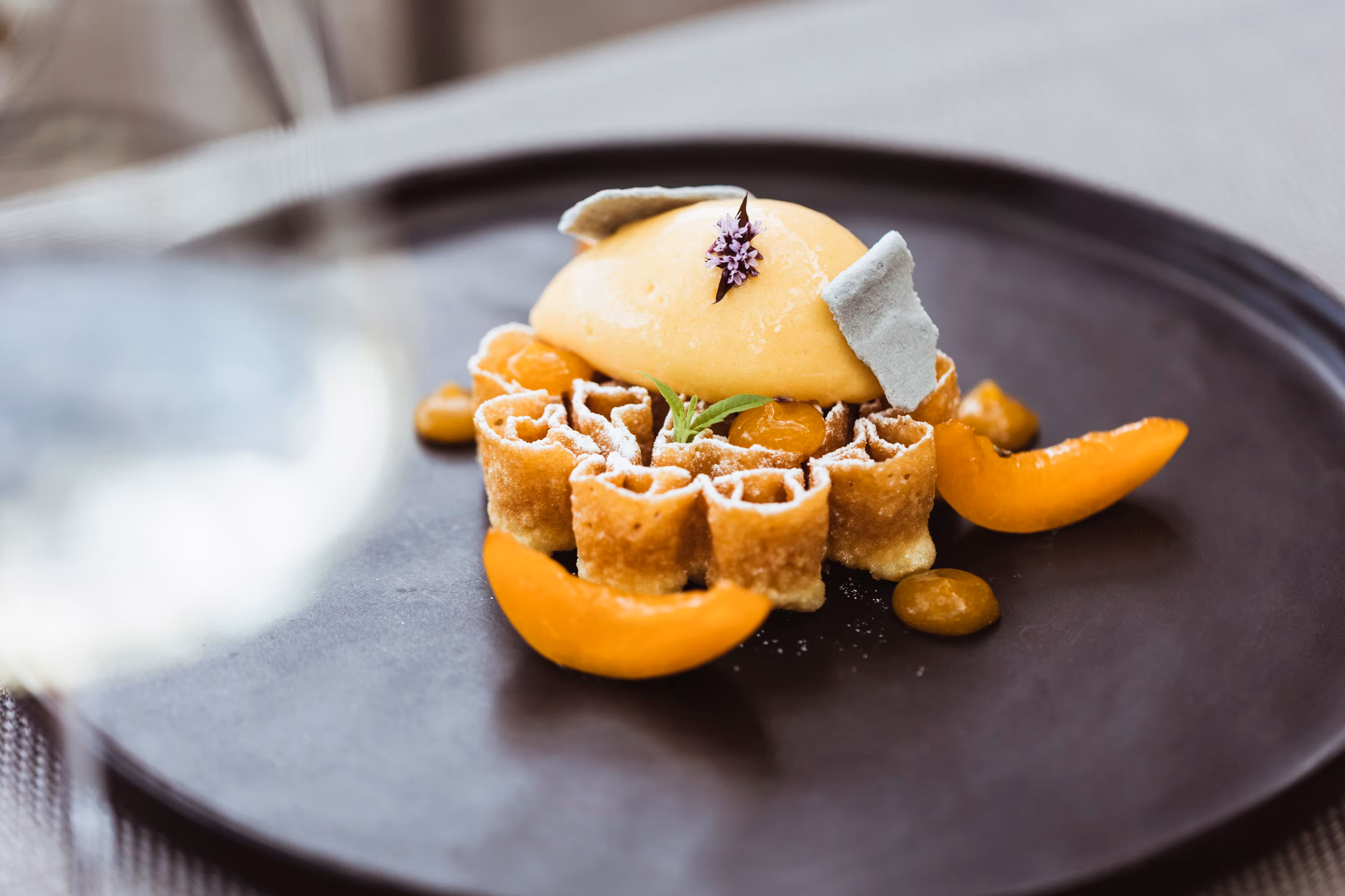 Eine kunstvoll angerichtete Waffel mit Marillensorbet und dekorativen Früchten auf einem schwarzen Teller.