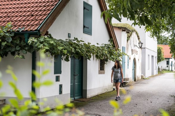 Kellergasse Arbesthal , © Niederösterreich Werbung/Claudia Schlager