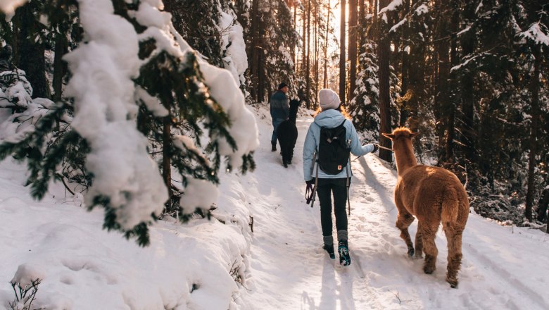 So macht Wandern tierisch Spaß, © Waldviertel Tourismus/sommertage.com