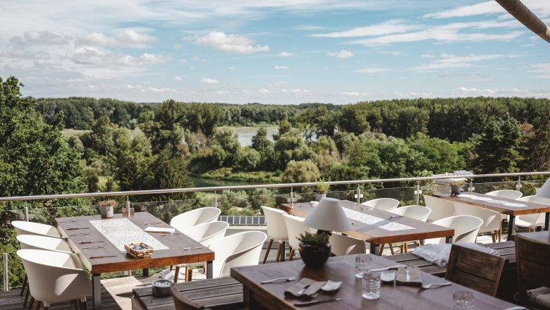 Blick in den NP Donau-Auen, © Niederösterreich Werbung/Michael Reidinger