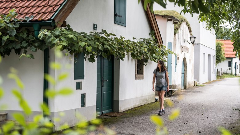 Kellergasse Arbesthal , © Niederösterreich Werbung/Claudia Schlager