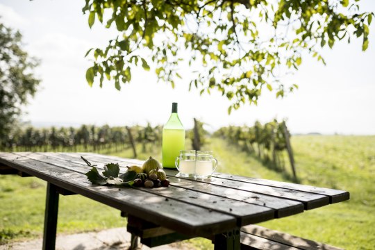 die hauseigenen Marillen werden natürlich auch fleißig verkocht. , © Niederösterreich-Werbung/Stefan Fuertbauer